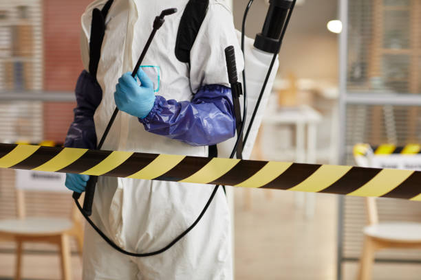 Professional Sewage Cleanup technician working in Humptulips, WA